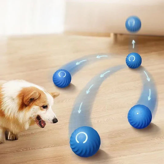 Interactive Dog Ball - Smart Toy for Pups